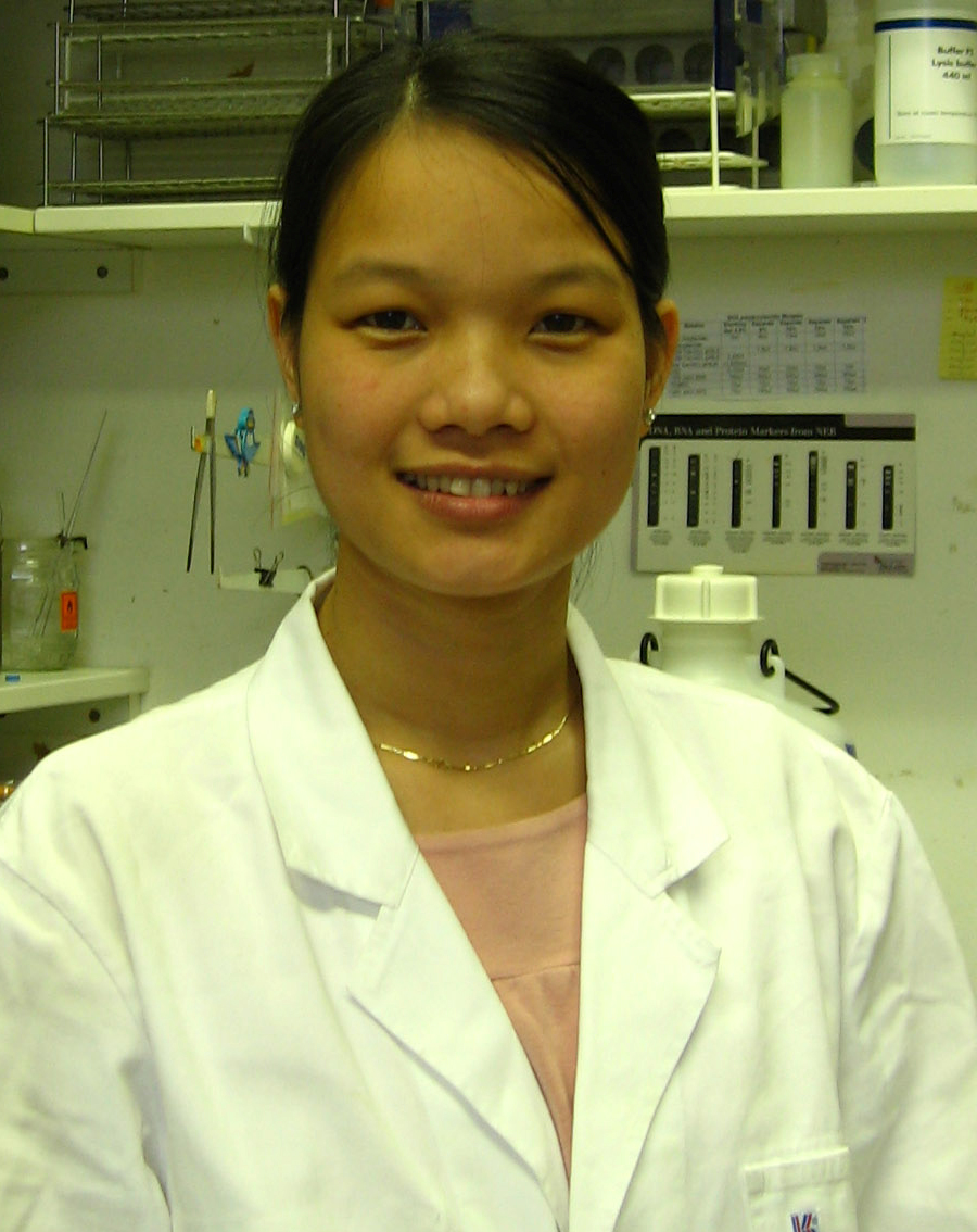 Trang icon